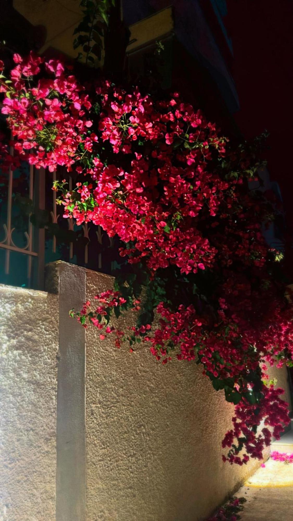 Appartamento Kristiana Sarandë